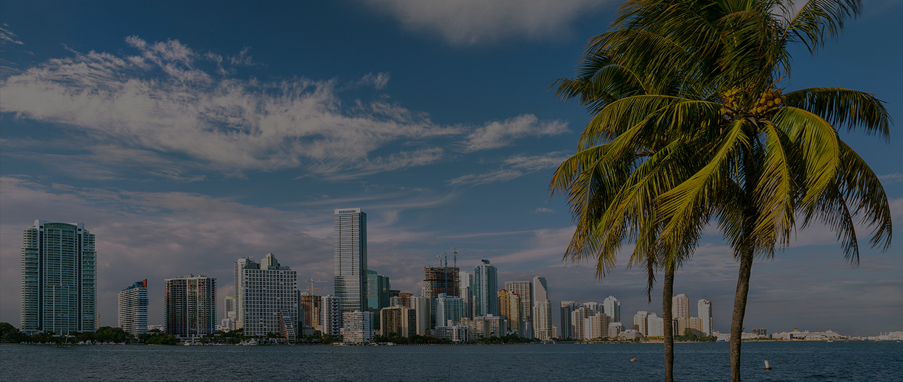 Photograph of two palm trees with the Miami skyline in the background.
